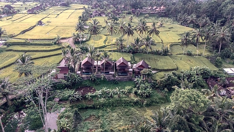 Moonterra Villa Ubud