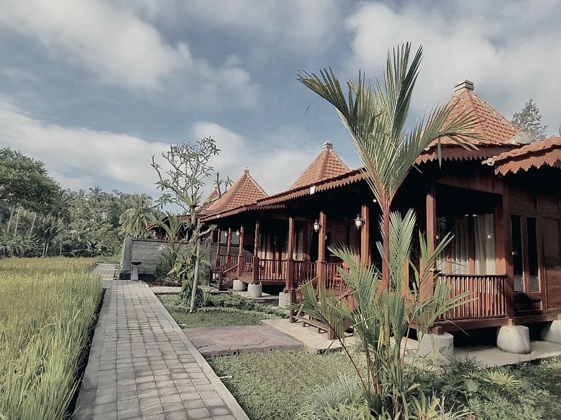 Uma Ulun Dugul