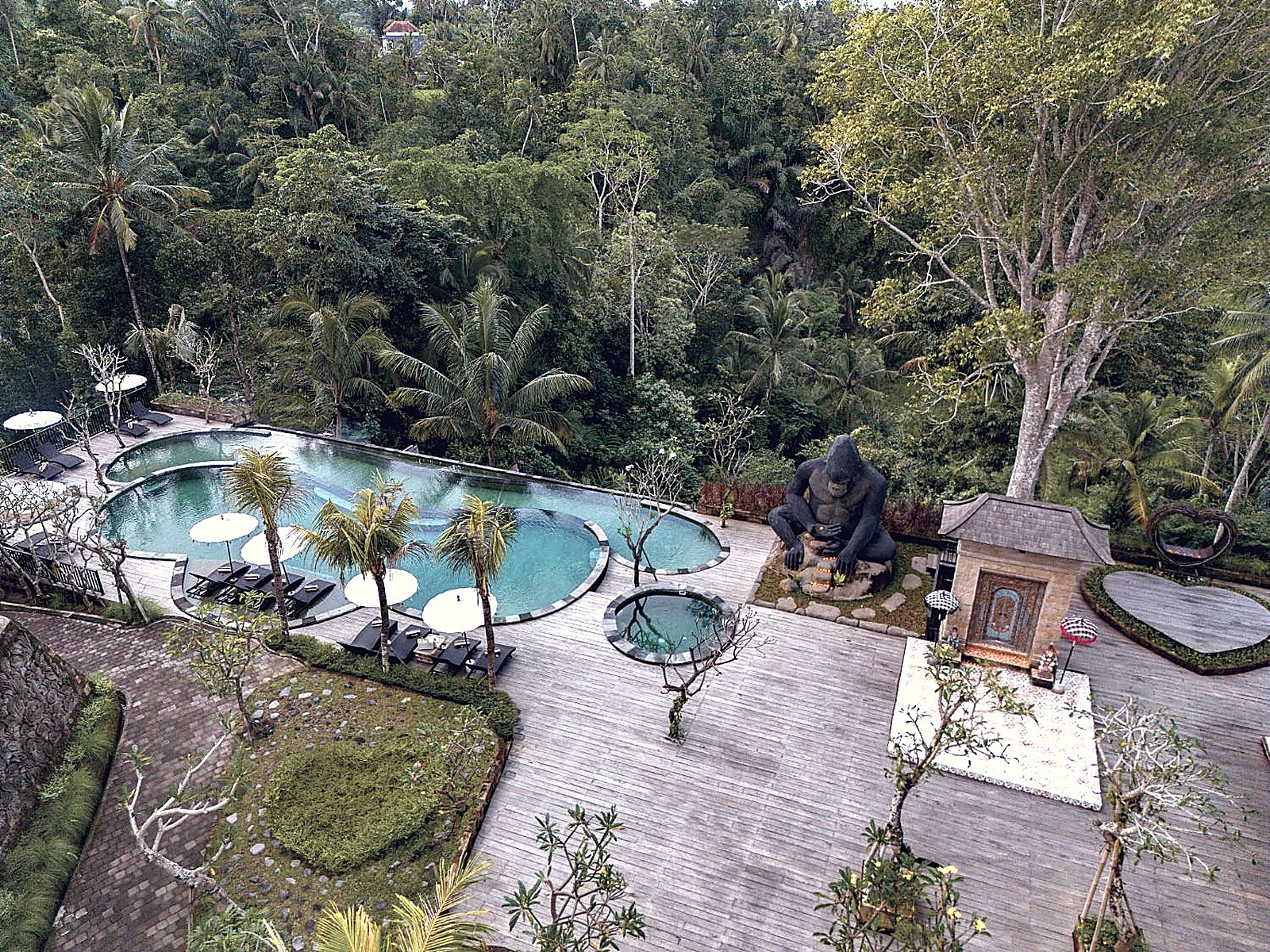 Hoshi Jungle Resort