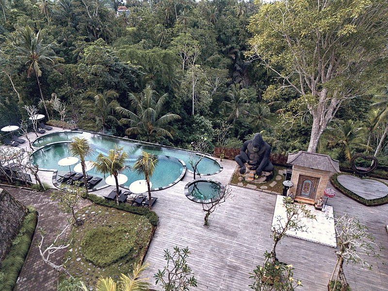 Hoshi Jungle Resort