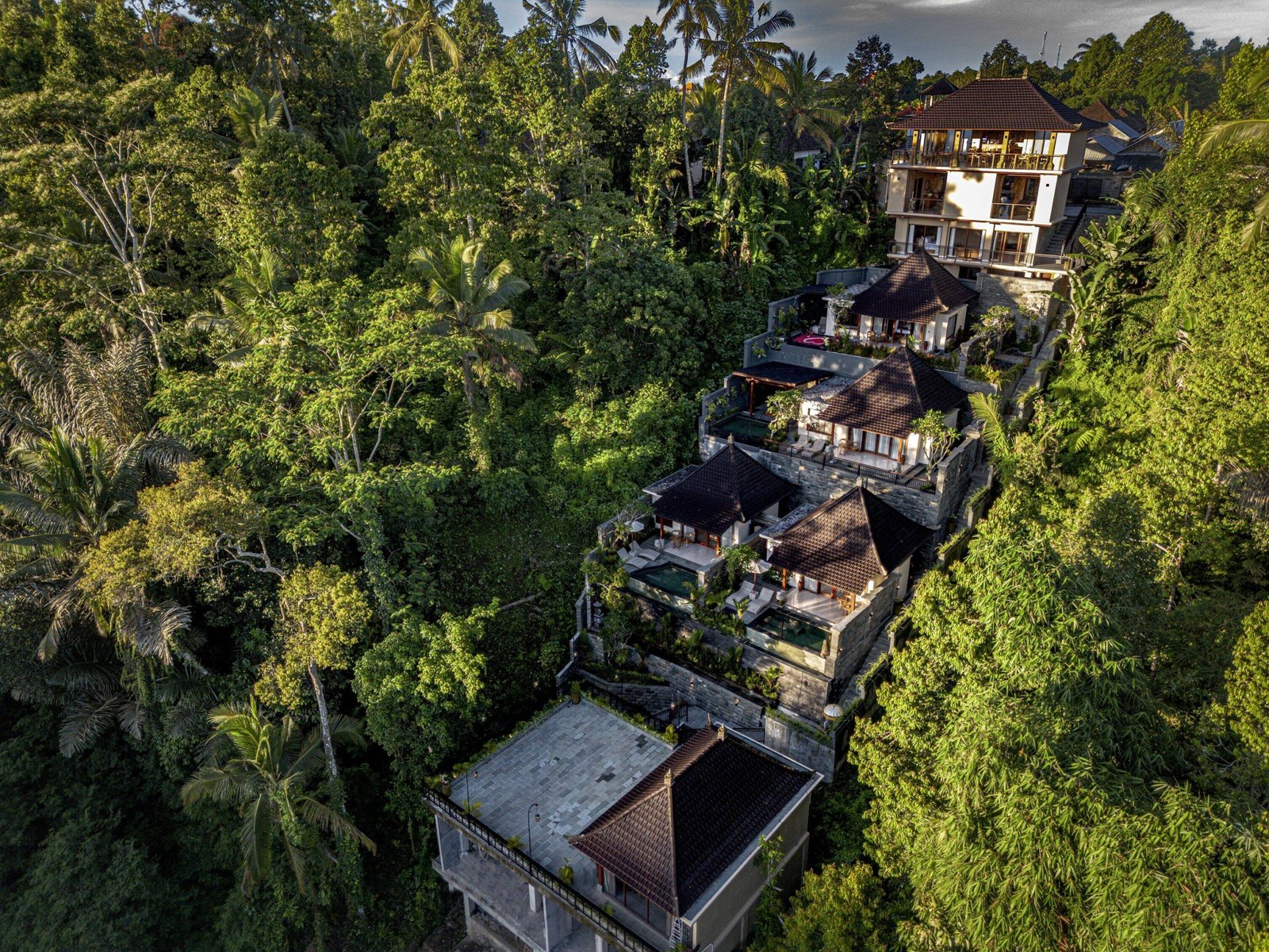 02 optimized 2000 scaled